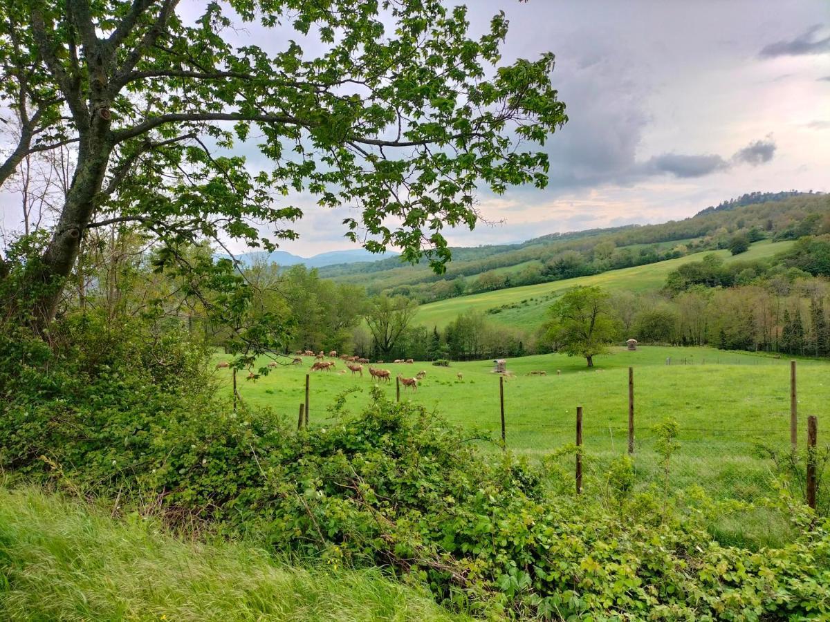 La Casetta Di Bruno Sul Passo Della Futa Traversa Dış mekan fotoğraf
