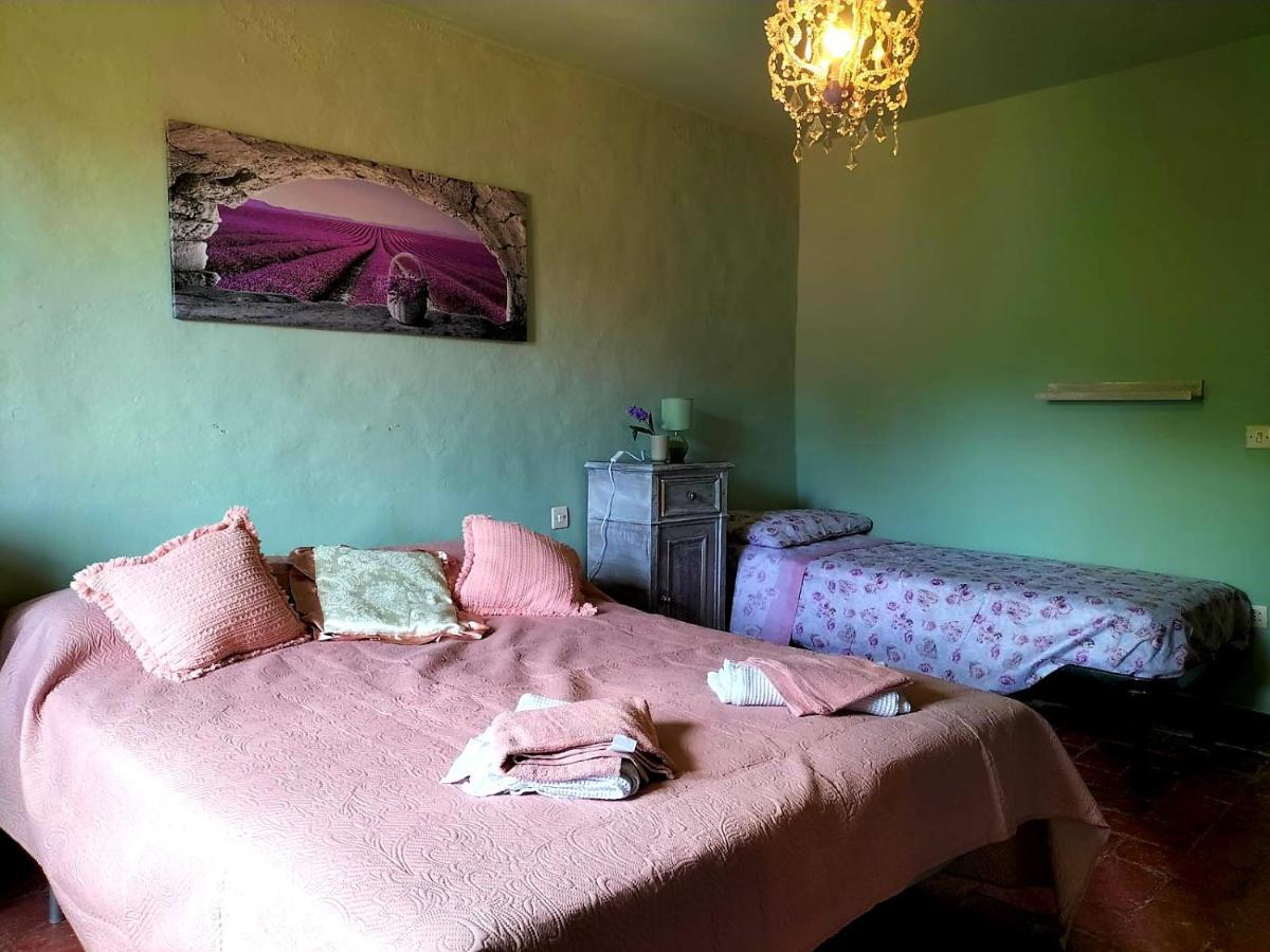 La Casetta Di Bruno Sul Passo Della Futa Traversa Dış mekan fotoğraf