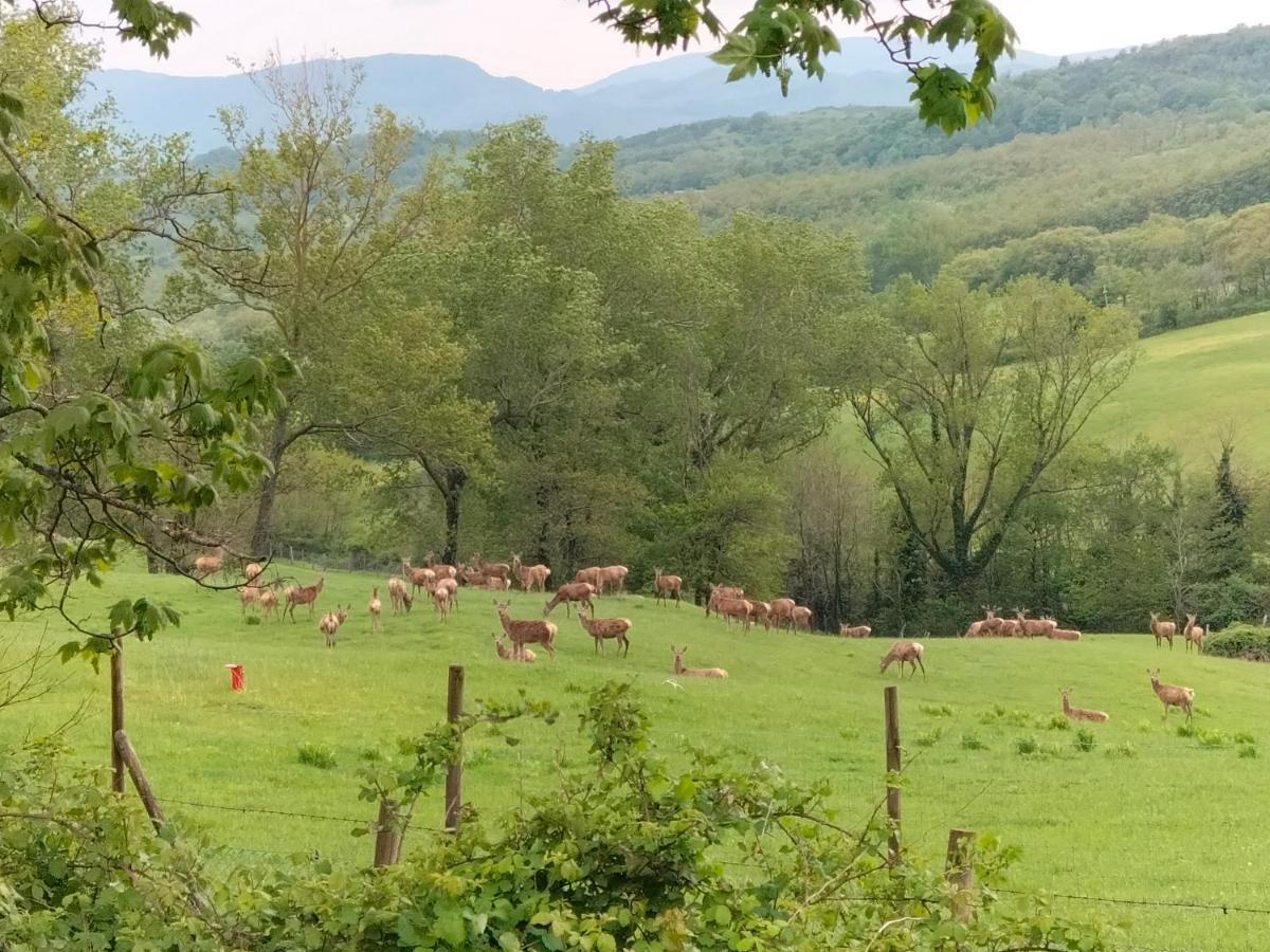 La Casetta Di Bruno Sul Passo Della Futa Traversa Dış mekan fotoğraf